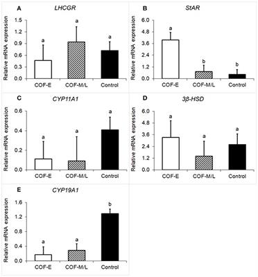 Steroidogenic, Metabolic, and Immunological Markers in Dairy Cows Diagnosed With Cystic Ovarian Follicles at Early and Mid-Late Lactation